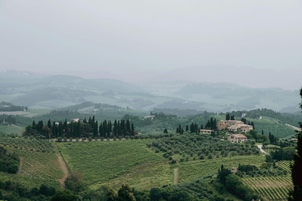 Rolling hills and vineyards in the Tuscan countryside Italy