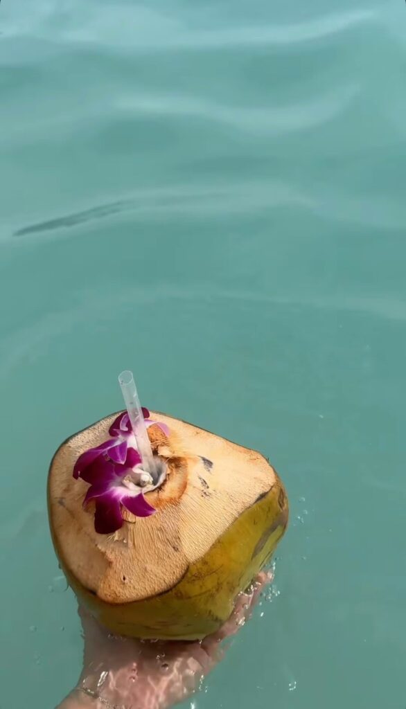 Fresh coconut drink with orchid garnish floating in turquoise pool water
