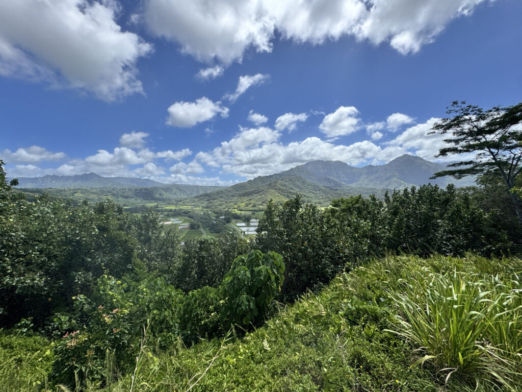 Lush green valley and mountain views on Kauai's North Shore