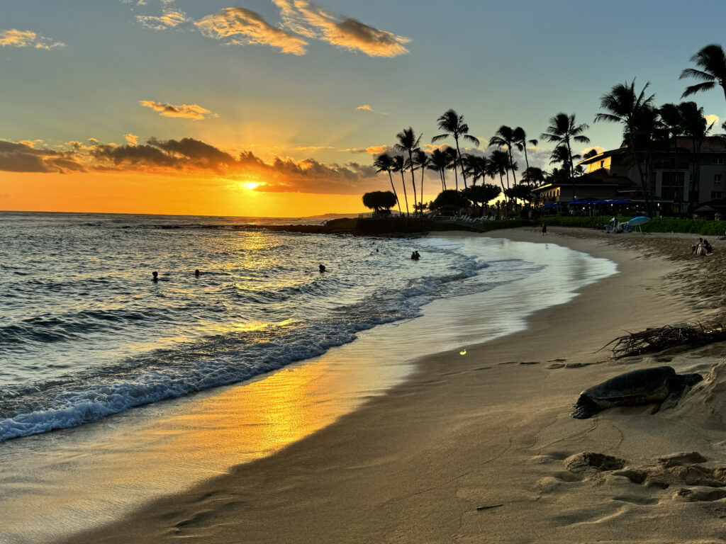 Golden sunset at Poipu Beach with palm trees and ocean reflections