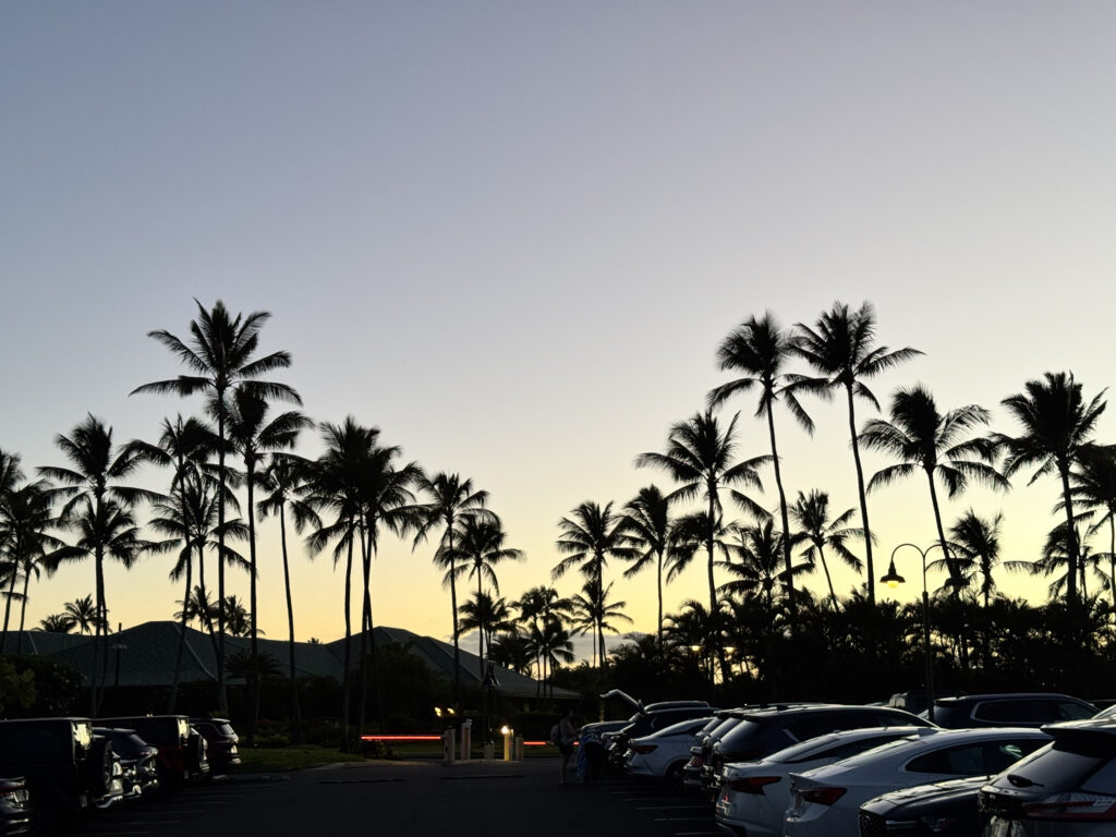 Palm tree silhouettes at sunset in Poipu Kauai